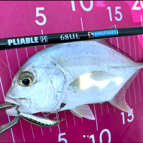 FIDELITY プライアブル 68UL キングフィッシャー – サイバータックル